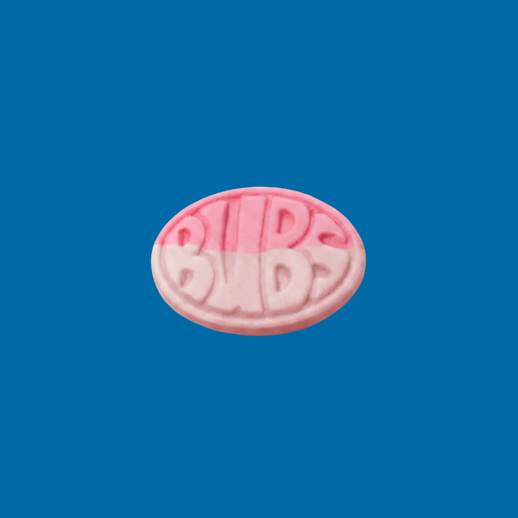 BUBS Wild Berry Pomegranate Ovals – Bonbons Suédois Fruits Rouges Grenade Végans - Goudisse - 