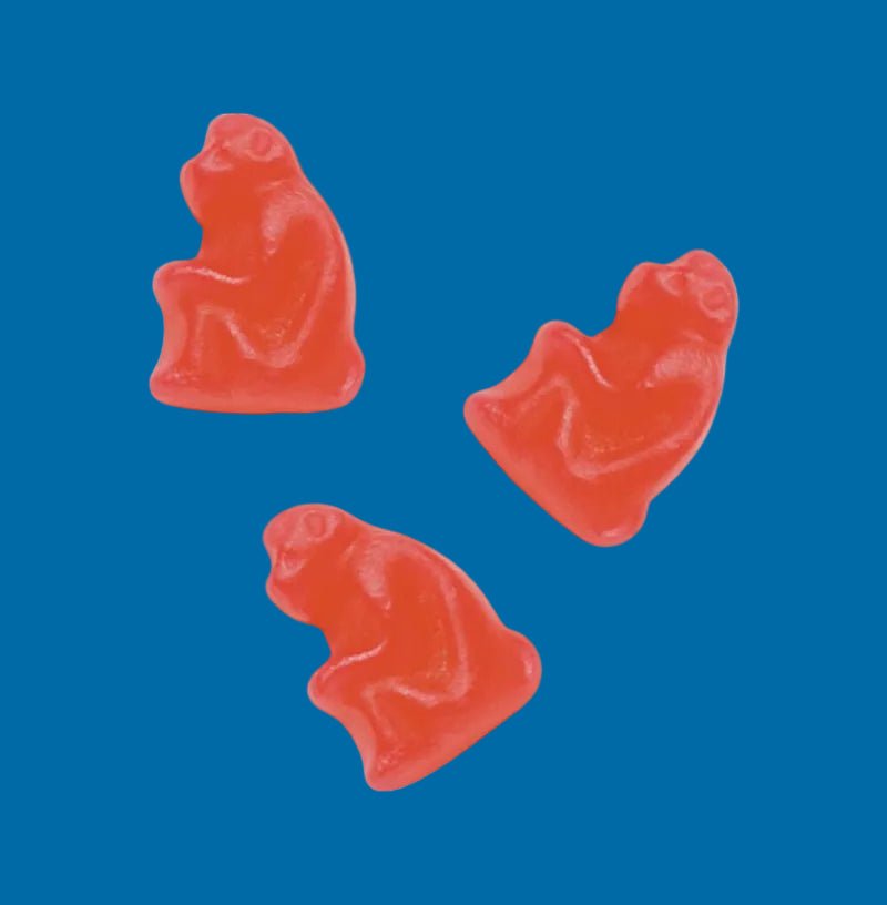 Zoo – Bonbons Gélifiés Suédois aux Fruits - Goudisse - 